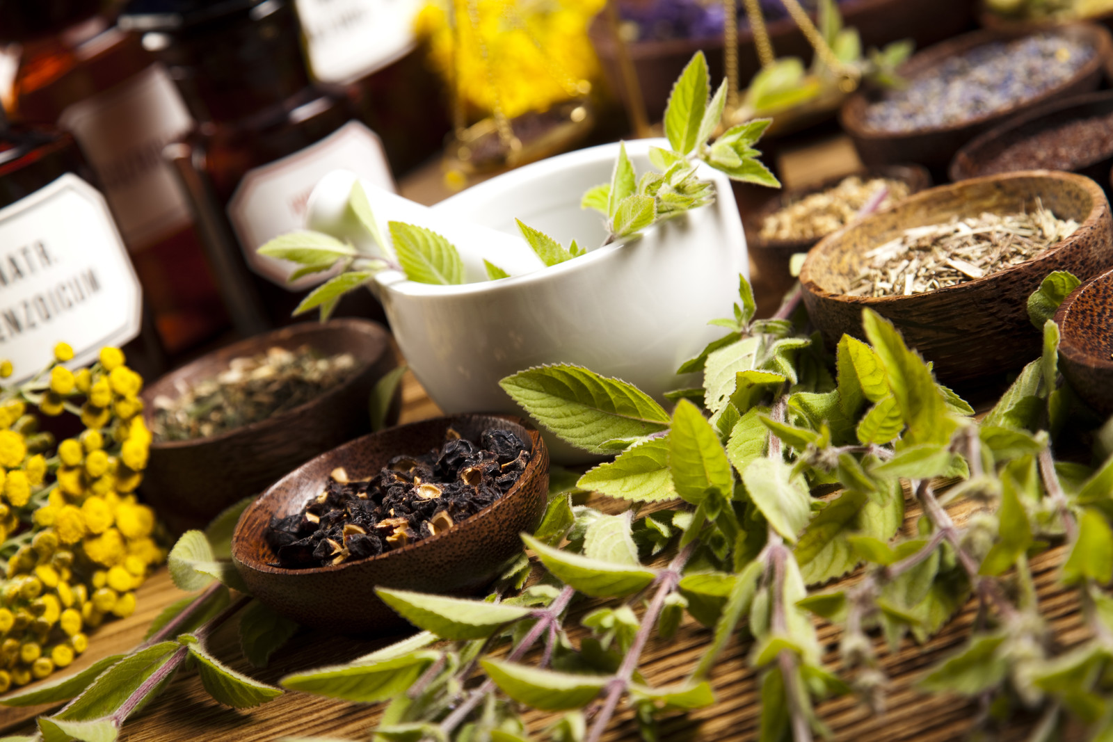 WBM's Naturopathy